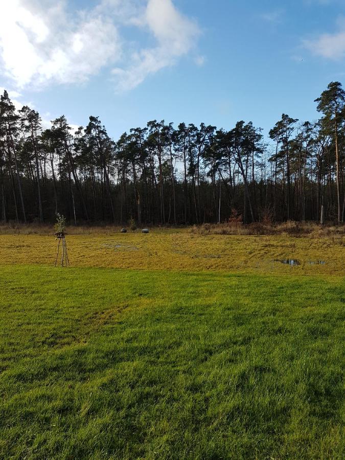 Sonnenstrahl Im Kuestenwald Gelbensande Exteriér fotografie