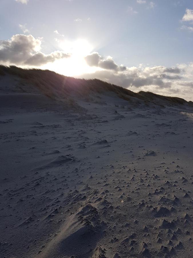 Sonnenstrahl Im Kuestenwald Gelbensande Exteriér fotografie
