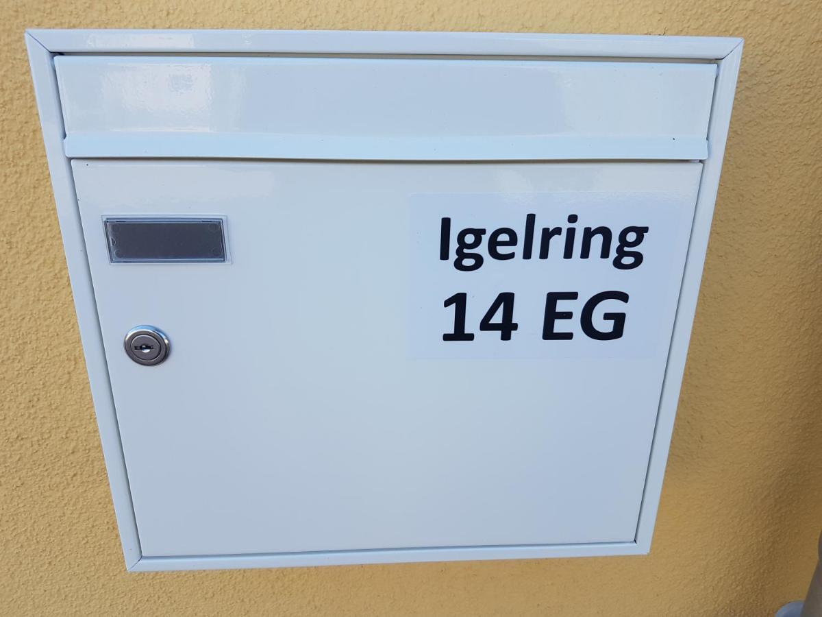 Sonnenstrahl Im Kuestenwald Gelbensande Exteriér fotografie