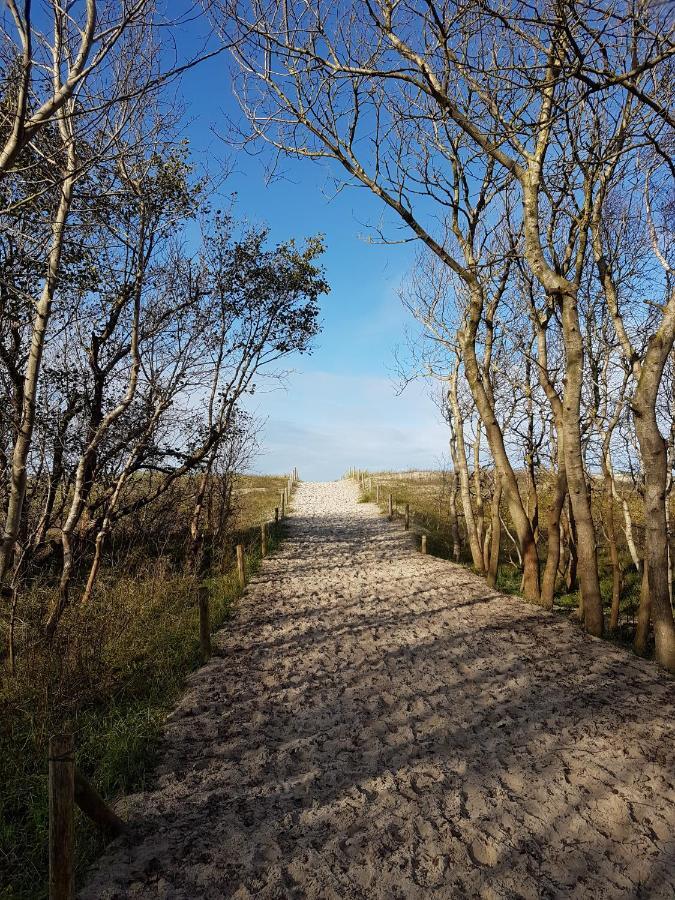 Sonnenstrahl Im Kuestenwald Gelbensande Exteriér fotografie